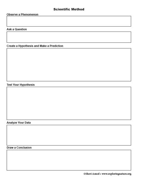 Scientific Method Graphic Organizer