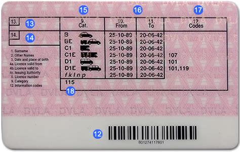 Uk Drivers License Explained