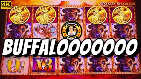 Buffalooooo Buffalo Gold Slot Machines Pay Big Youtube