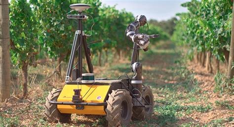 Génétique Et Robotique Deux Optiques Pour Visualiser L Agriculture Du Futur Consultation Sur