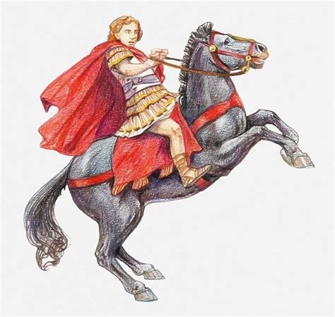 Illustration of Alexander the Great on his horse Our beautiful pictures ...