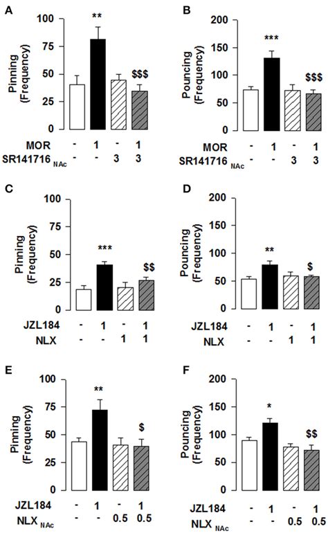 MOR Activation In The NAcC Is Necessary For The 2 AG Induced