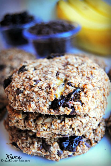 Gluten-Free Breakfast Cookies {Dairy-Free} - Mama Knows Gluten Free