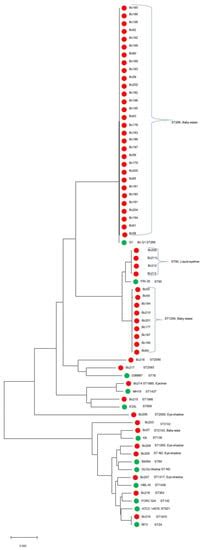 Microorganisms Free Full Text Characterization And Genetic