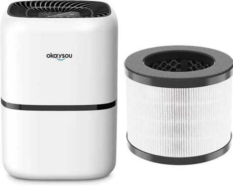 Okaysou Air Purifier Review - the House house