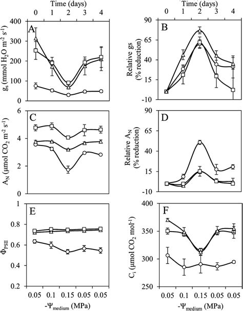 Stomatal Conductance Gs A Net Photosynthetic Rate An C