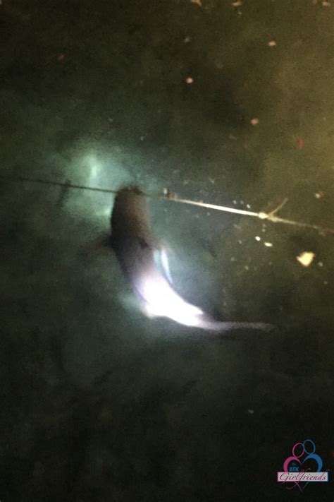 ATK Girlfriends Featuring Carmen Caliente Naked Photos CoedCherry