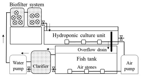 Recirculating Deep Water Culture Diagram