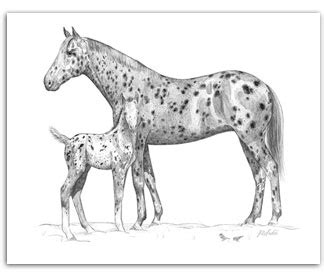 Magic of Winter : Buy Appaloosa Horses in Art : Appaloosa Paintings For ...