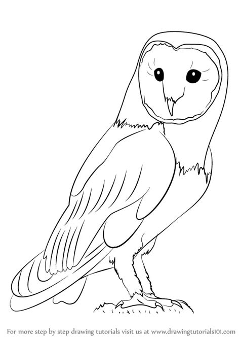 Learn How to Draw an Owl (Owls) Step by Step : Drawing Tutorials