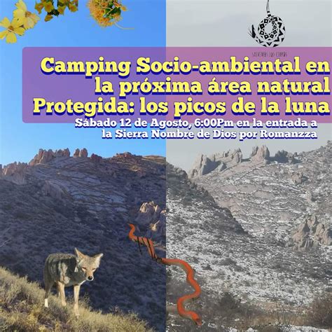 Únete al Campamento Ambiental de Reforestemos en Colaboración con