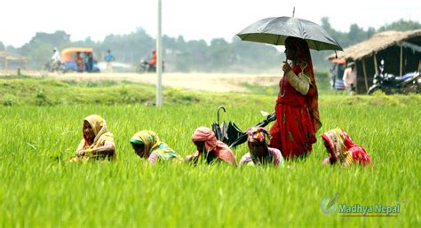 जनविचार कृषिमा आधारित २ नं प्रदेशको विकासका लागी प्रदेश सरकारले के