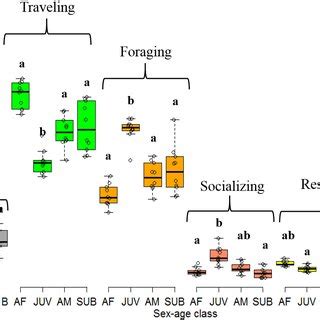 (PDF) Activity budget and social behavior of urban capuchin monkeys, Sapajus sp. (Primates: Cebidae)