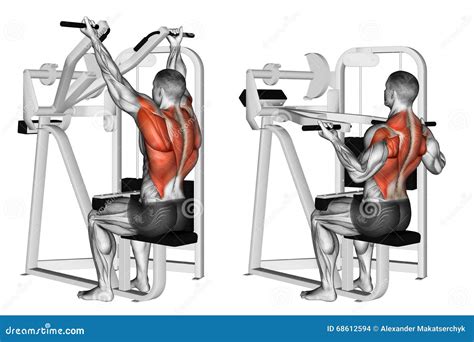 Exercising. Reverse Grip Machine Lat Pulldown Stock Illustration - Image: 68612594