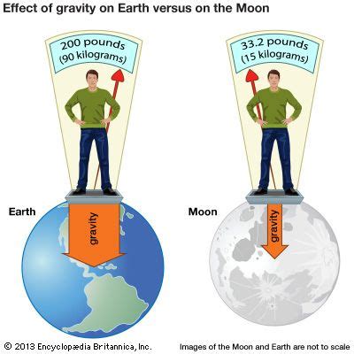 Force Of Gravity Examples For Kids