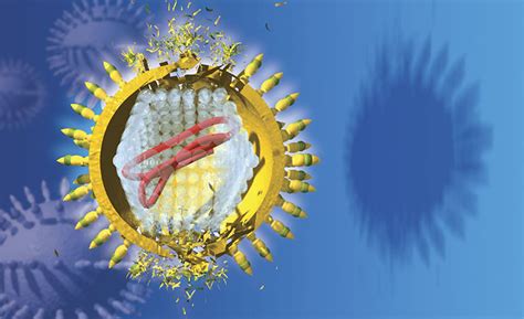 nhiem virus viem gan  bao lau  trieu chung