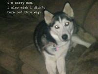 Words Real Ass Words