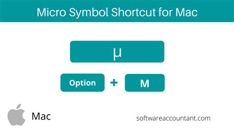 How to type a Micron Symbol in Word/Excel (Windows & Mac) - Software ...