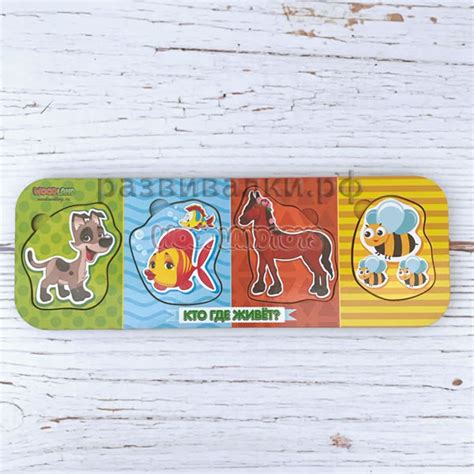 Купить Тематические рамки-вкладыши - Бесплатная доставка - Интернет ...