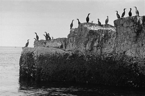 La Nouvelle Fondation Henri Cartier Bresson Paris Rend Hommage