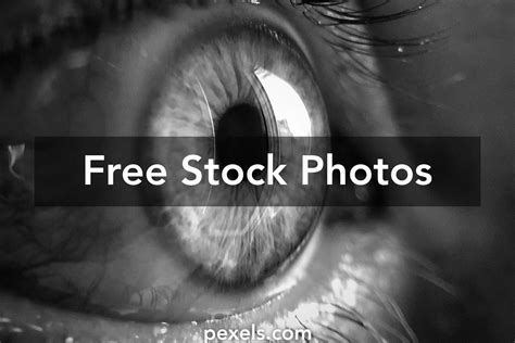 amazing eye sight  pexels  stock