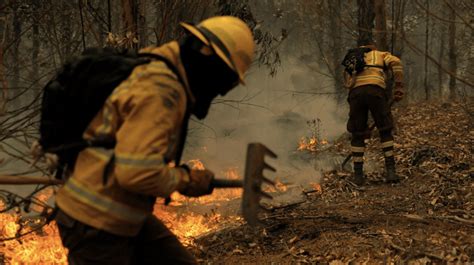 Incendios Forestales En Chile Se Propagan A Medida Que Aumenta El Número De Muertos La Verdad