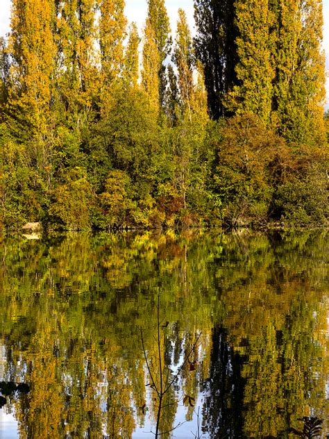 La Forêt de Fontainebleau Erwan Balestreri Photographie