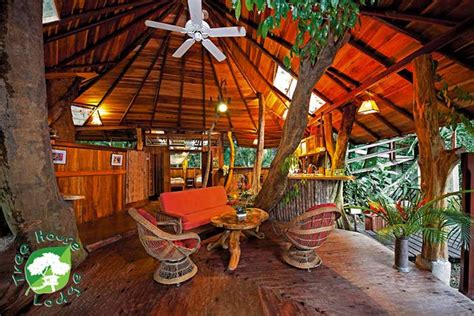 Costa Rica's Top Treehouse Ecolodges (PHOTOS!) • James Kaiser