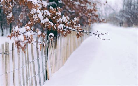 Winter Fence Wallpapers Top Free Winter Fence Backgrounds