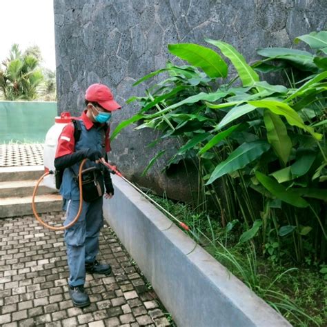 Harga Jasa Anti Rayap Cibodas Tangerang Terbaik Petrokil Pest