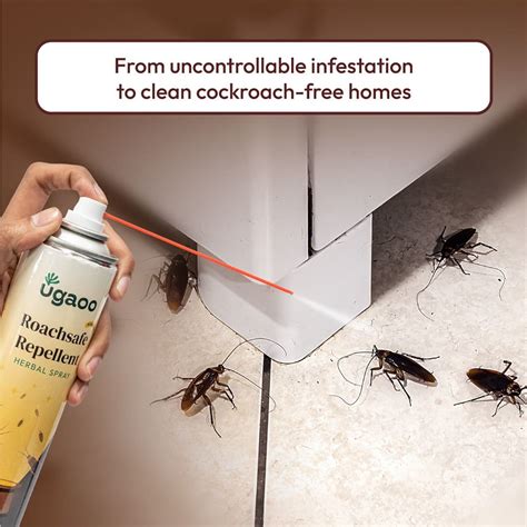 Buy the Powerful Cockroach Repellent: An Ultimate Roach Killer Spray