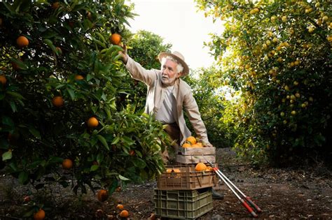 Les Arbres Fruitiers Privil Gier Pour Une R Colte Abondante