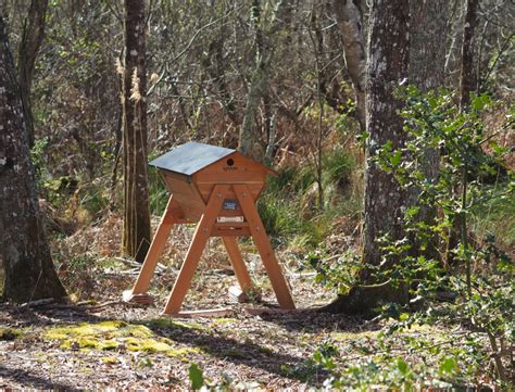 Le Mystère des Abeilles ALTRAD PLETTAC MEFRAN