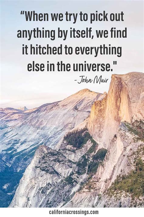 40 Inspiring John Muir Quotes: On Nature, Mountains, Hiking, Trees ...