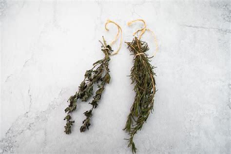 How to Dry Herbs (4 Easy Ways)