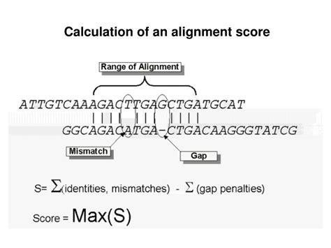 Ppt Sequence Similarity Powerpoint Presentation Free Download Id