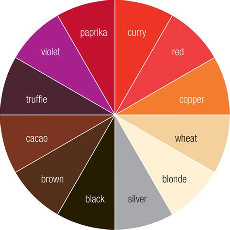 Color Wheel Complementary Colors Brown