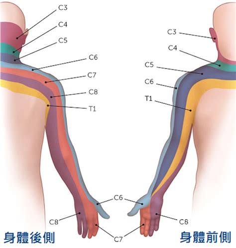 手麻系列 一 手麻無力好困擾 神經壓迫？頸椎退化？ 大安國際物理治療中心 Hat 黃氏肌骨平衡學派 Amazing International Clinic