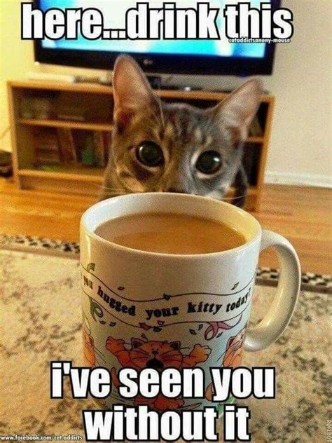 Coffee Funny Cat