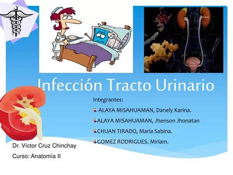 PPT Infección Tracto Urinario PowerPoint Presentation free download