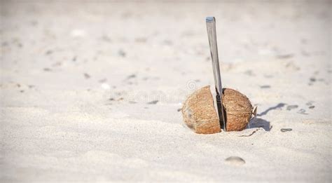 Coconut Cut in Half with Knife on a Beach Stock Image - Image of ...