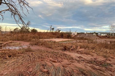 ‘Shocking’ erosion of sand dunes in Prince Edward Island National Park ...