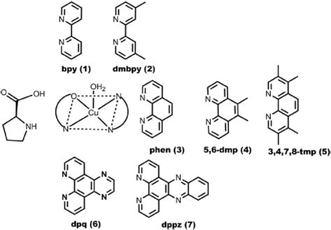 Scheme 1 Copperii Complexes 1 7 And Their Co Ligands Download Scientific Diagram