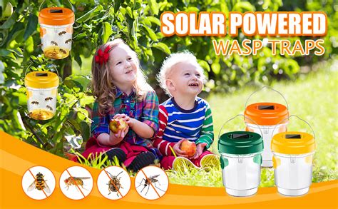 Amazon Qualirey Pack Wasp Traps Outdoor Hanging Solar Wasp