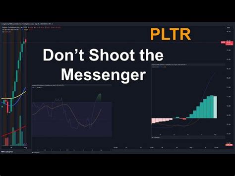 My Pltr Buy Targets Palantir Technical Analysis August Youtube