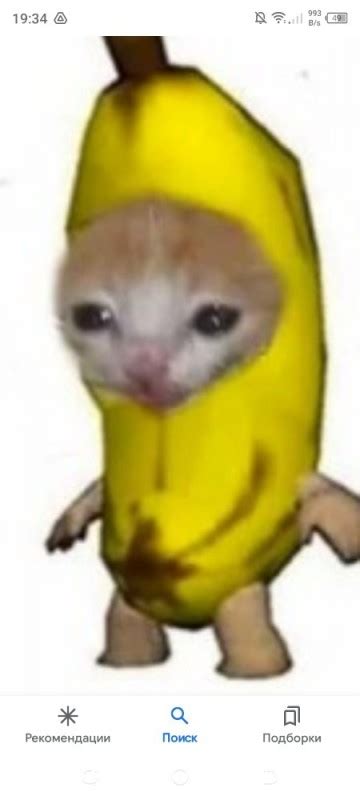 Create Meme A Cat In A Banana Costume Cat In A Banana Costume