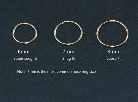 8mm Gauge Nose Ring Hot Sale Bellvalefarms