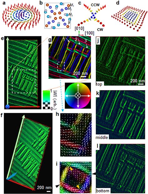 Tomographic Lorentz Transmission Electron Microscopy TEM Images Of