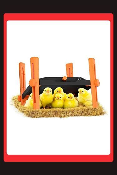 Pet Livestock Hq Chicken Brooder Heater For Chicks Chick Brooder