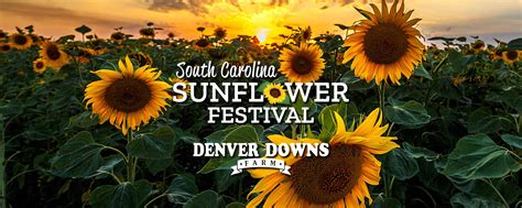 SC Sunflower Festival